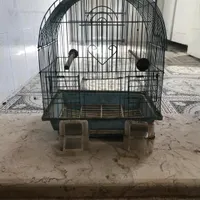 قفس پرنده