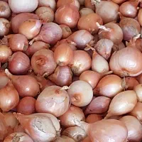 پیاز محلی|خوردنی و آشامیدنی|آبدان, |دیوار