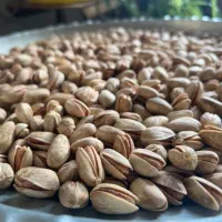 پسته اکبری|خوردنی و آشامیدنی|مشهد, نیروی هوایی|دیوار