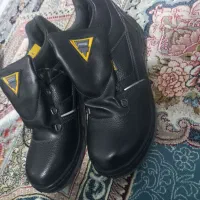 کفش کار نو