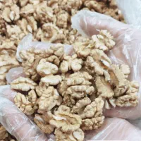 گردو و مغز گردو سفید درجه1 محلی امسال