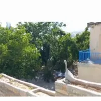 اجاره روزانه/ سوییت باغ سنتی در مرکز و بلندی شهر|اجارهٔ کوتاه‌مدت آپارتمان و سوئیت|سمیرم, |دیوار