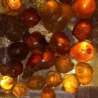 کهربا شمال