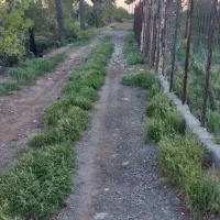 باغچه هزار متری سنددار|فروش زمین و ملک کلنگی|باقرشهر, |دیوار