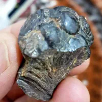 سنگقیمتی|کلکسیون اشیاء عتیقه|جوانرود, |دیوار