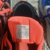 کفش|کیف، کفش، کمربند|بیرجند, |دیوار