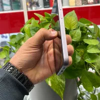 S23fe|موبایل|شیراز, گود عربان|دیوار