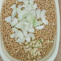 مواداولیه فلافل|خوردنی و آشامیدنی|شاهین‌شهر, شهرک گلدیس|دیوار