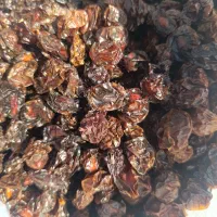 آلو خشک آفتابی