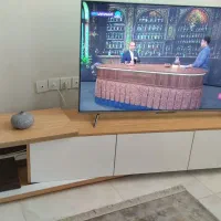 زیر تلویزیونی