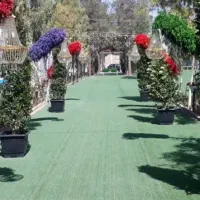 رهن و اجاره تالار فرزانگان|خدمات پذیرایی، مراسم|نجف‌آباد, ویلاشهر|دیوار