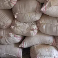 کاه دیم کمباینی