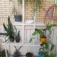 استند گلدان زیبا