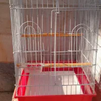 قفس 1032 سالم