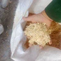 کاه گندم|حیوانات مزرعه|نیشابور, مازول|دیوار