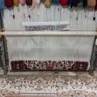 قالی زرونیم