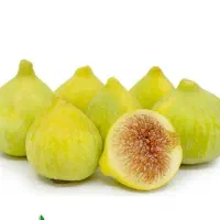 پیشفروش نهال انجیر عسلی با شرایط چک|خدمات باغبانی و درختکاری|بوکان, |دیوار