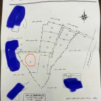 فروش باغ انگور در ملکان قطعه ۱|فروش زمین و ملک کلنگی|ملکان, |دیوار