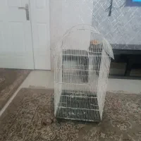 قفس پرنده بزرگ