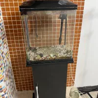 آکواریوم آماده|ماهی|گرگان, |دیوار