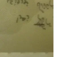 کارت ملیم گم شده به نام زهرا نوروزی