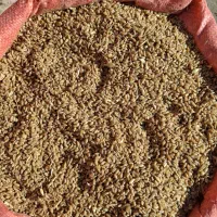 گندم|لوازم جانبی حیوانات|اندیمشک, |دیوار