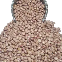 حبوبات درجه یک ، پزا ، تمیز. امسالی