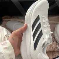 فروش‌کفش ارجینال|کیف، کفش، کمربند|عسلویه, |دیوار