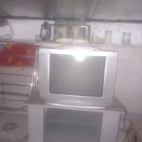 تلویزیون