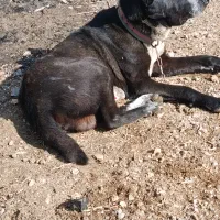 در قم.  میدان امام