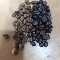 همکاری درکافه|استخدام خدمات فروشگاه و رستوران|تهران, تسلیحات|دیوار