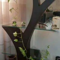 مبل و میز tv و ویترین|مبلمان خانگی و میز عسلی|رشت, جهاد|دیوار