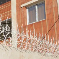 فروش حفاظ خاری شاخ گوزنی بوته ای|خدمات پیشه و مهارت|اصفهان, بوستان ناژوان|دیوار