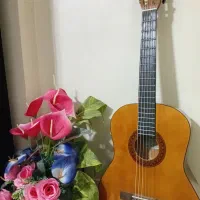 گیتار یاماهاC40 همراه کاور (نو)