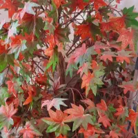 گل مصنوعی|گل مصنوعی|فسا, |دیوار