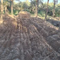 تراکتور برای کار