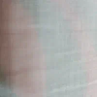 پیدا شده شناسنامه