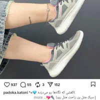 کفش|کیف، کفش، کمربند|کرمان, |دیوار