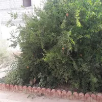 اجاره خانه ویلایی ۲۵۰ متری ۲ خوابه در اشکاوند.چوم|اجارهٔ خانه و ویلا|اصفهان, قلعه جوم|دیوار