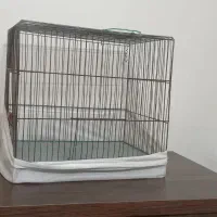 قفس پرند