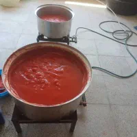 رب خانگی و چیز های دیگر