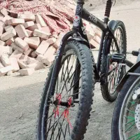 دوچرخه اساک ۲۴