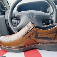 کفش چرم اصل|کیف، کفش، کمربند|لنگرود, |دیوار