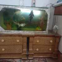 ماهی گیاه خوار