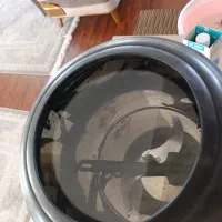 سبزی خردکن|خردکن، آسیاب، غذاساز|نیشابور, دارایی|دیوار