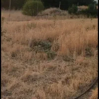 فروش-زمین-برای-باغ-و-کشاورزی-خانه-باغ