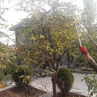 باغبانی و فضای سبز بومهن رودهن پردیس|خدمات باغبانی و درختکاری|رودهن, |دیوار