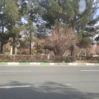 زمین-فروشی-فراشاهی