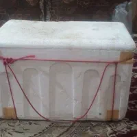 فلاکس بوچی و مخلوط کن شارجی