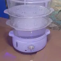 بخارپز پنکه ایستاده وپنکه سقفی گل طبیعی تلویزیون